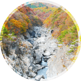 出發享受日光慢旅遊