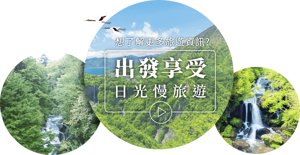 出發享受日光慢旅遊