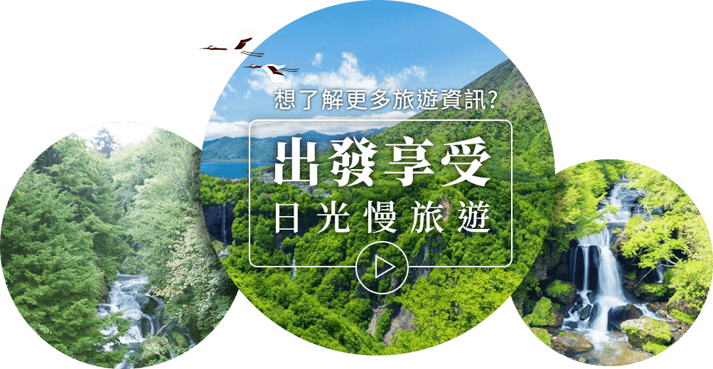 出發享受日光慢旅遊