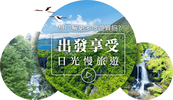 出發享受日光慢旅遊
